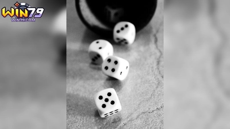 Mẹo chơi tài xỉu dễ thắng cho người mới Mẹo chơi tài xỉu dễ thắng cho người mới